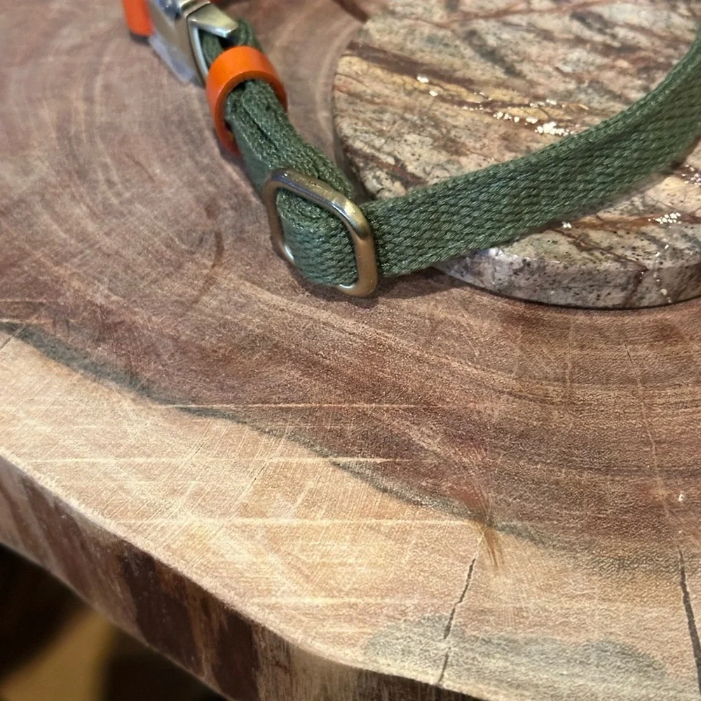Ajustable Custom Dog Collar with Quick Release Buckle